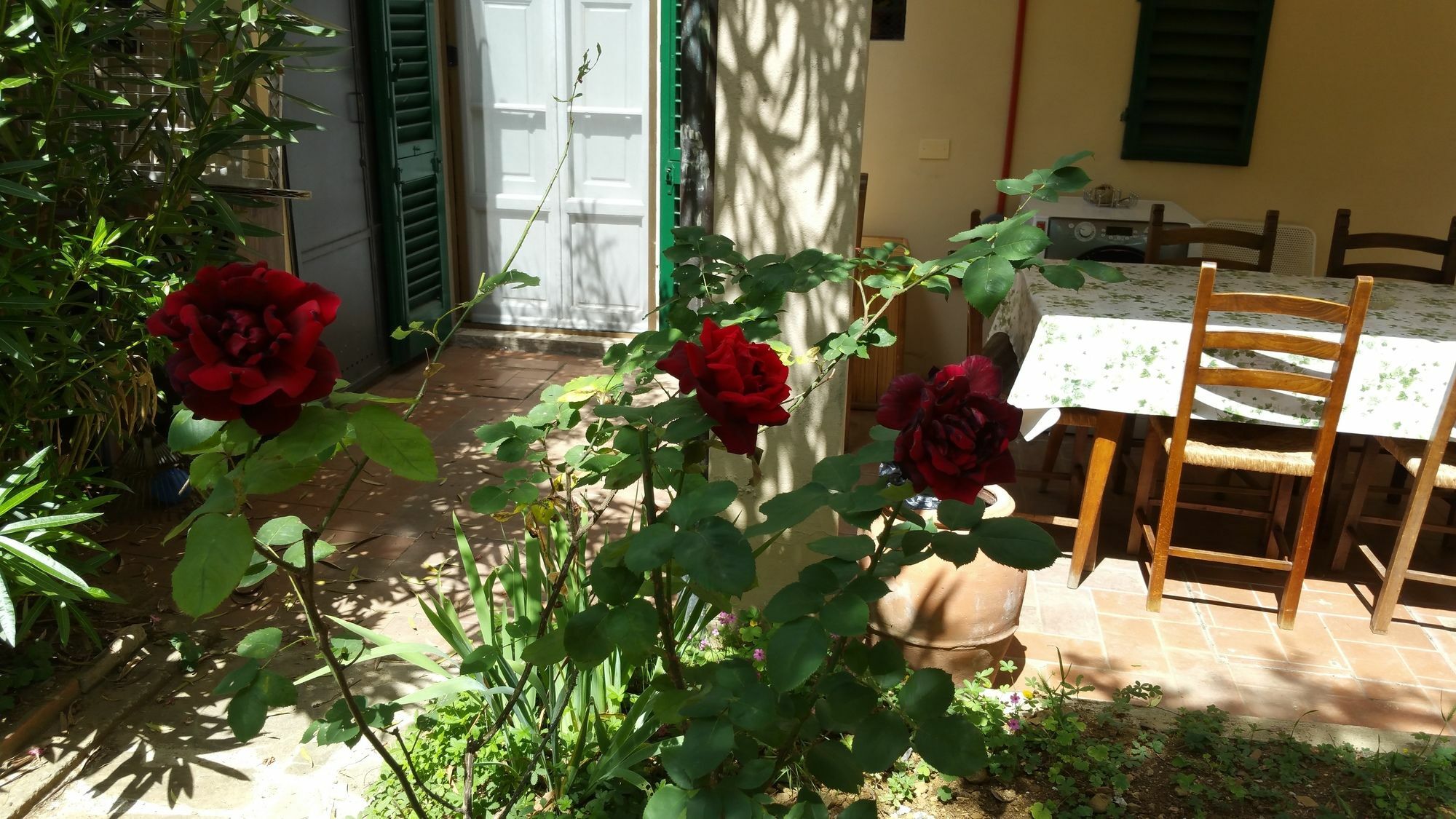 La Villa Nei Fiori Florence Ngoại thất bức ảnh
